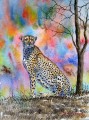 Cheetah Colors African